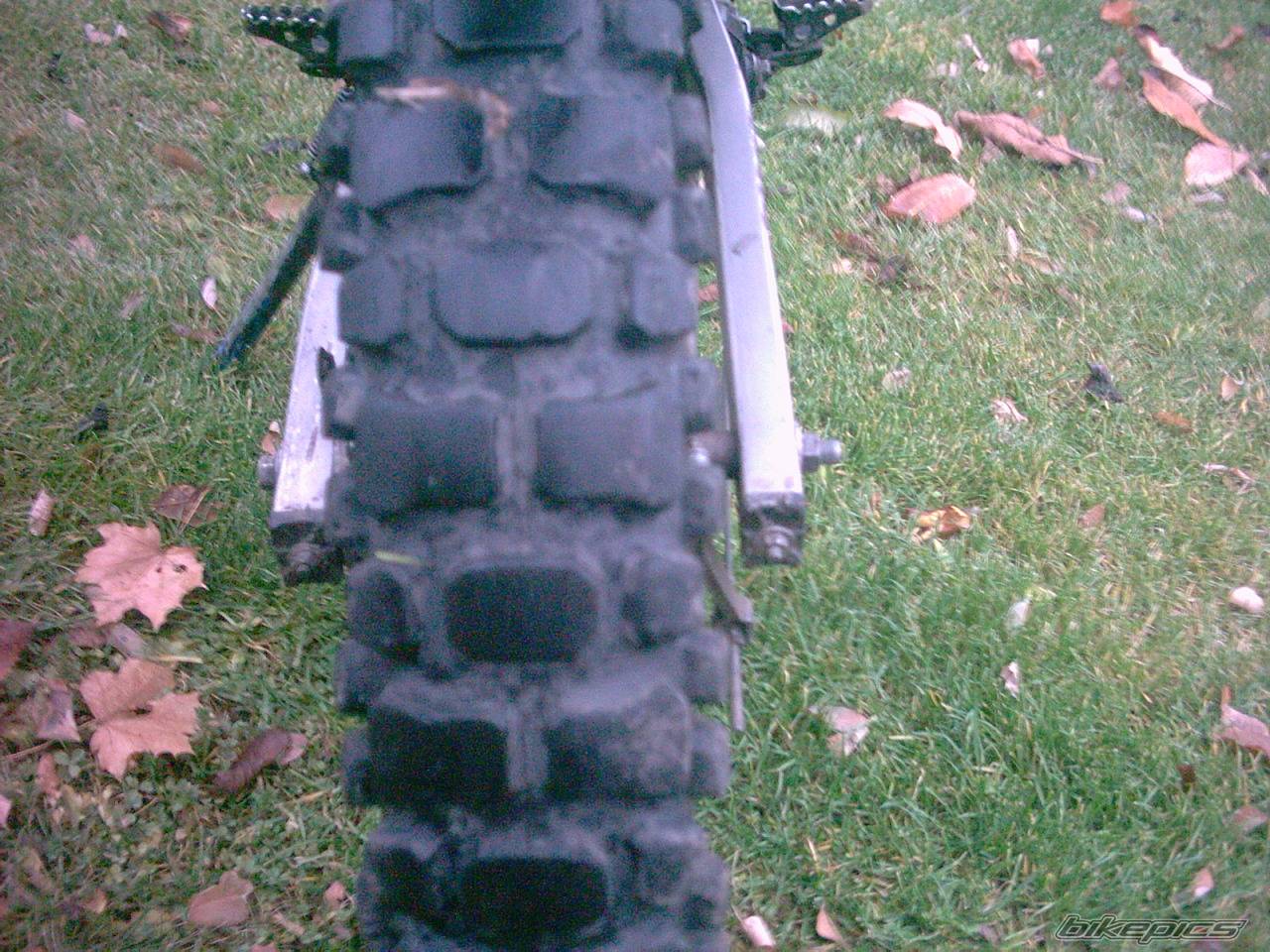 1995 SUZUKI TS 50 | Picture 463919 motorcycle photo
