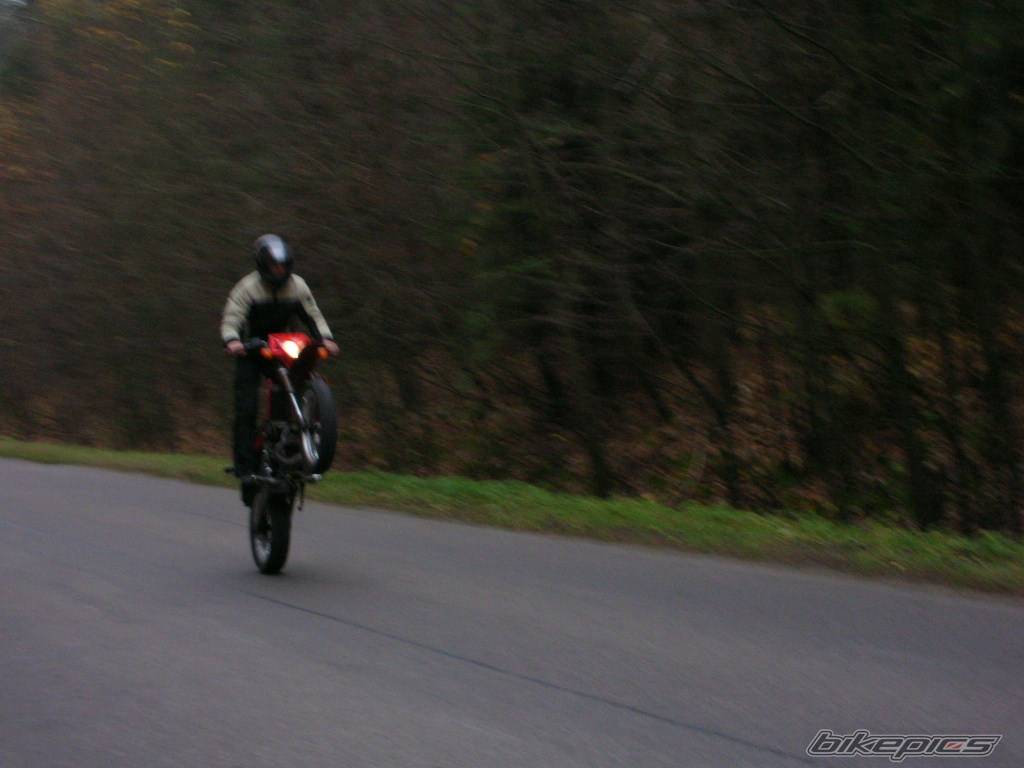 2001 DERBI SENDA SM 50 | Picture 463965 motorcycle photo