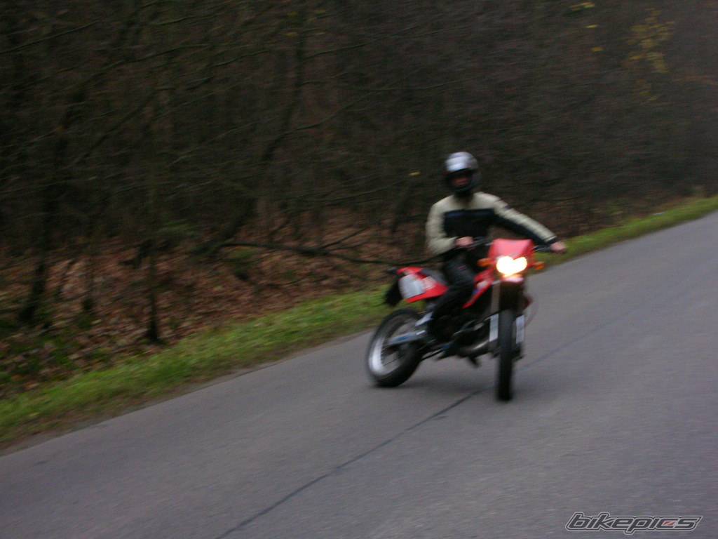2001 DERBI SENDA SM 50 | Picture 463984 motorcycle photo