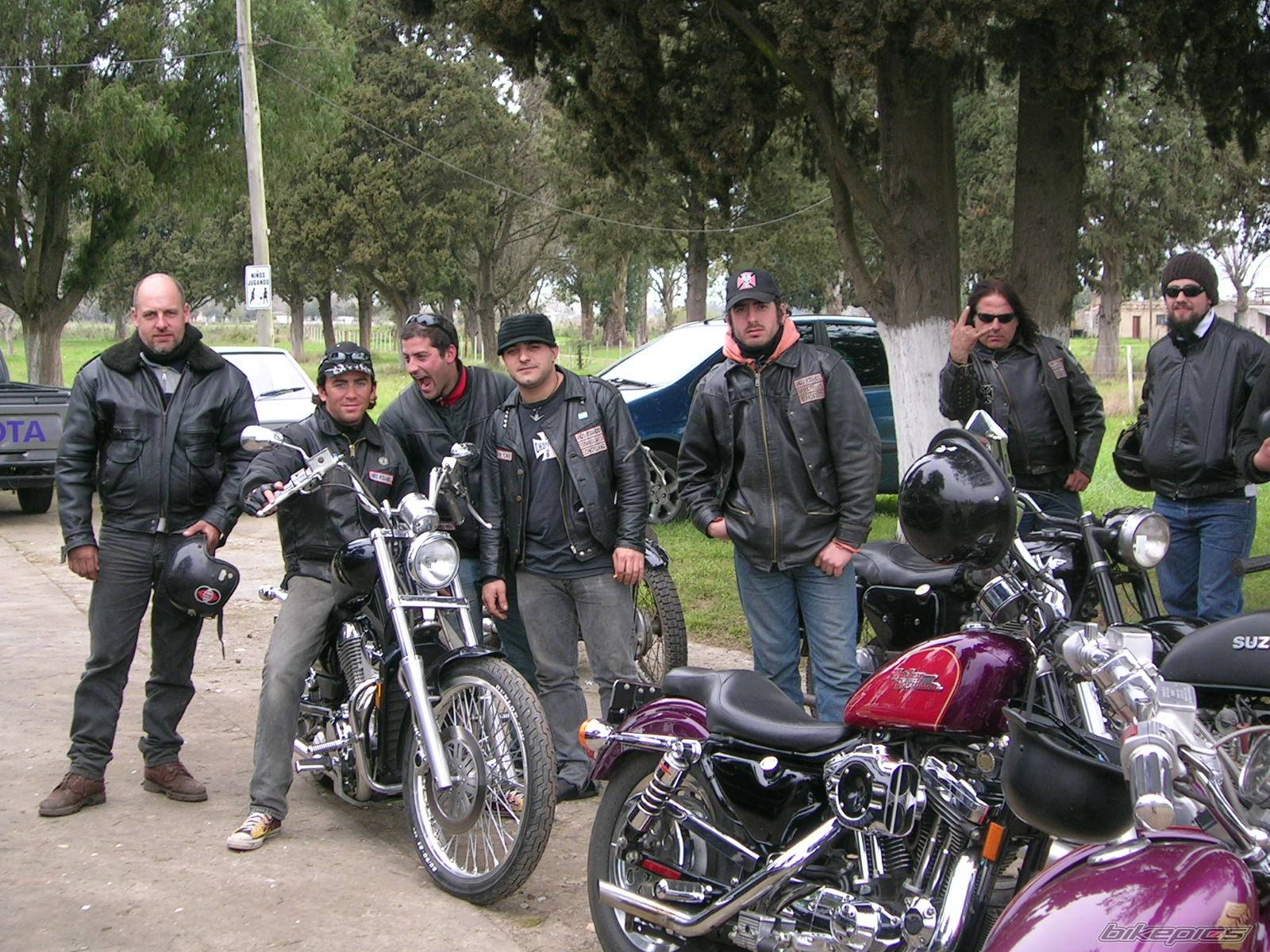 1994 SUZUKI INTRUDER 800 | Picture 464720 motorcycle photo
