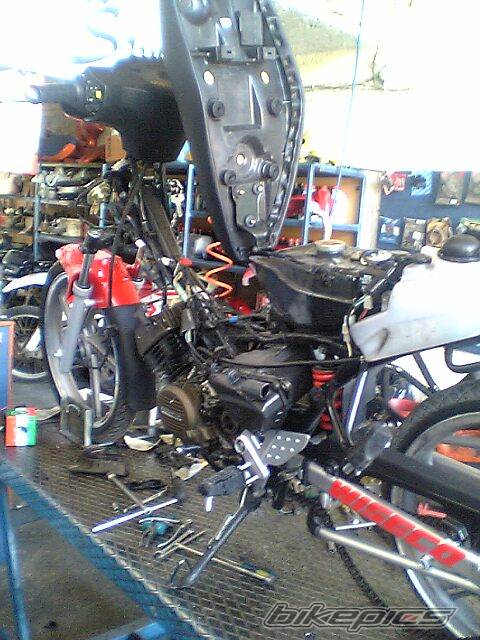 2006 MODENAS DYNAMIC 125 | Picture 464908 motorcycle photo