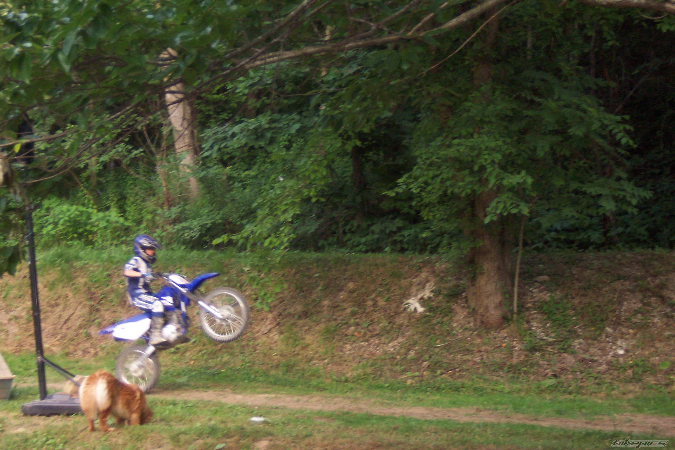 2003 YAMAHA TTR 125 | Picture 465675 motorcycle photo