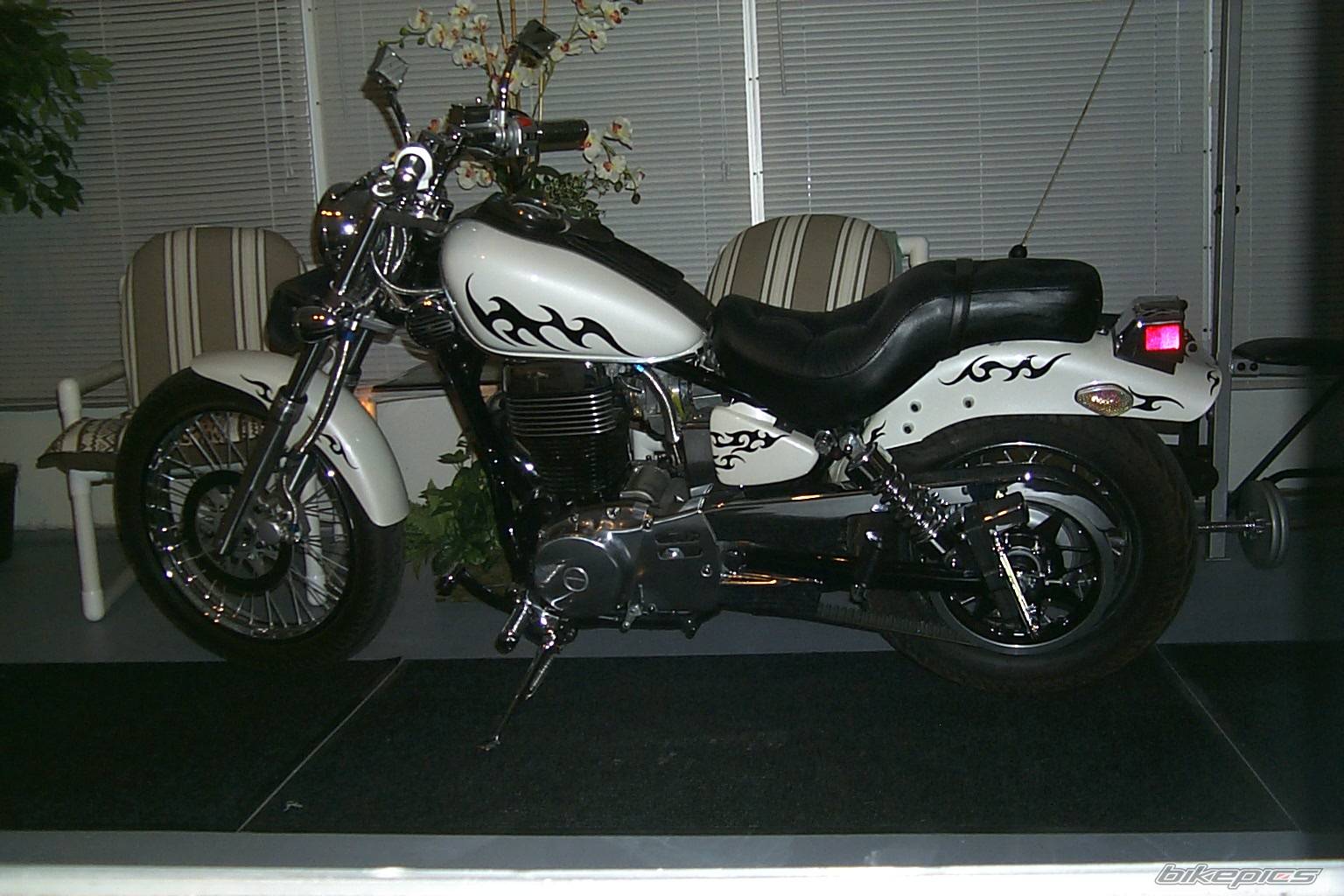 2005 SUZUKI SAVAGE | Picture 466317 motorcycle photo