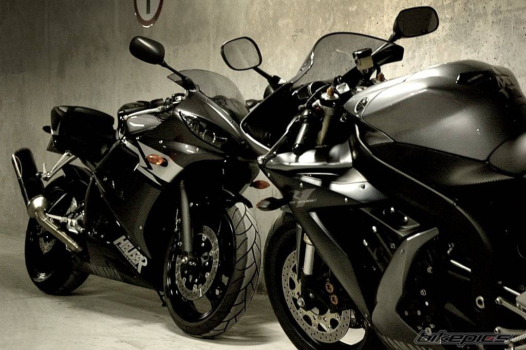 2004 YAMAHA YZF R6 | Picture 466445 motorcycle photo