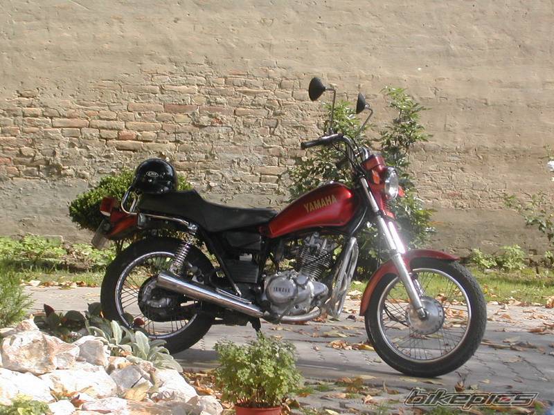 1991 YAMAHA SR 125 | Picture 467031 motorcycle photo