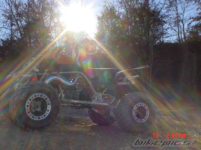 1995 YAMAHA BANSHEE | Picture 467188 motorcycle photo