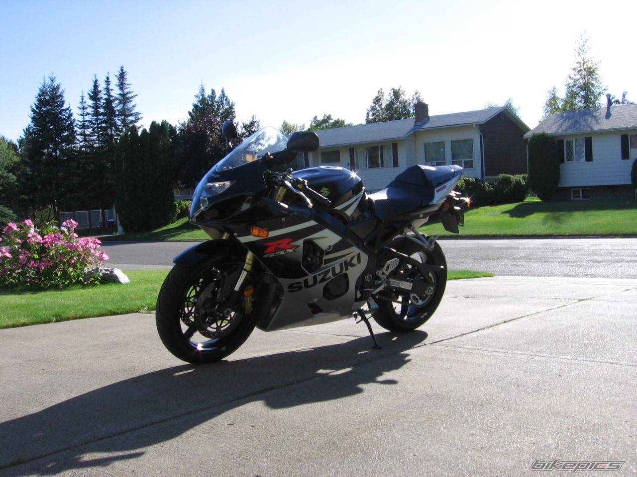 2005 SUZUKI GSX R 600 | Picture 467240 motorcycle photo