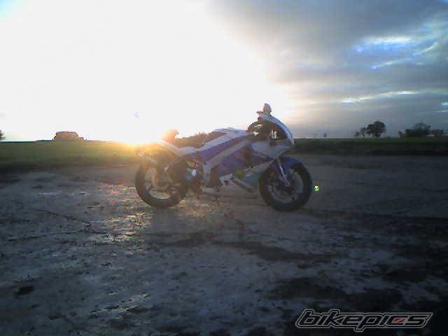 1991 KAWASAKI ZXR 250 | Picture 467343 motorcycle photo
