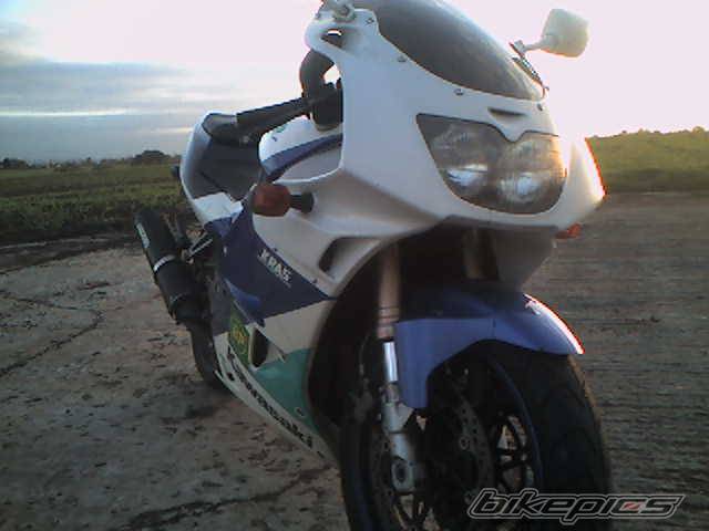 1991 KAWASAKI ZXR 250 | Picture 467344 motorcycle photo
