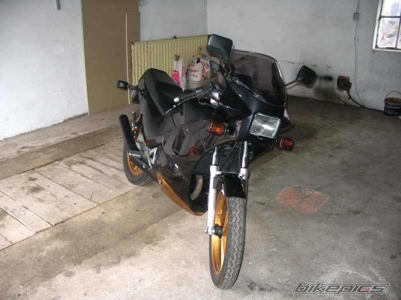 1996 SUZUKI RG 80 | Picture 467466 motorcycle photo