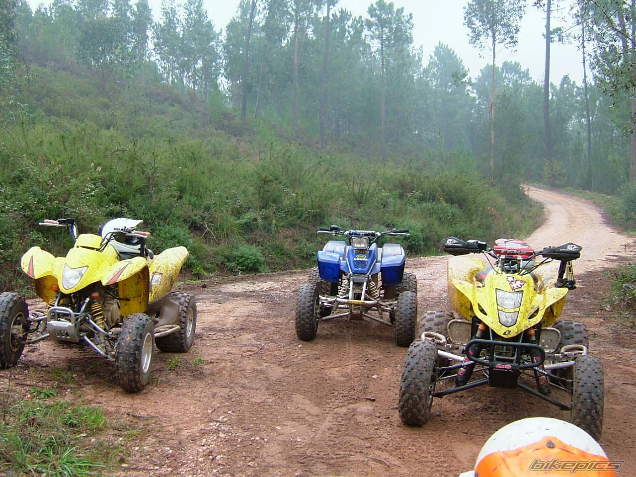 2004 SUZUKI LTZ 400 | Picture 467477 motorcycle photo