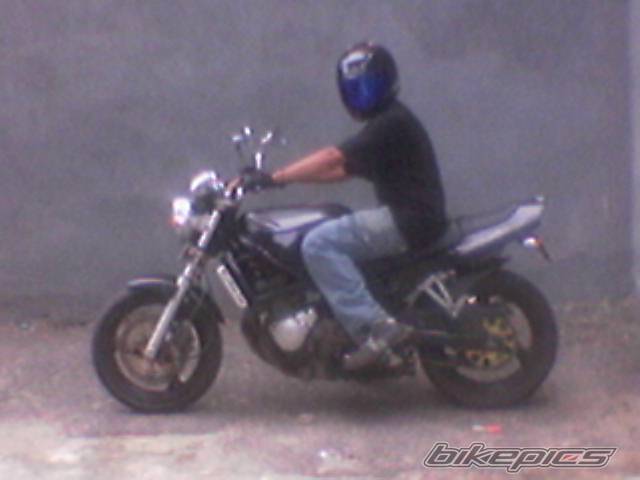 2003 SUZUKI BANDIT 250 | Picture 468006 motorcycle photo
