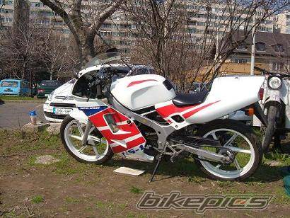 1995 HONDA NS 1 50 | Picture 468675 motorcycle photo