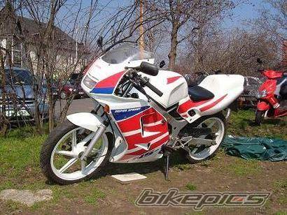 1995 HONDA NS 1 50 | Picture 468676 motorcycle photo
