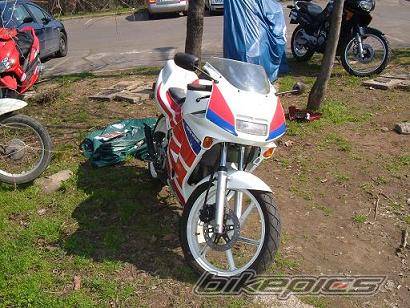 1995 HONDA NS 1 50 | Picture 468677 motorcycle photo