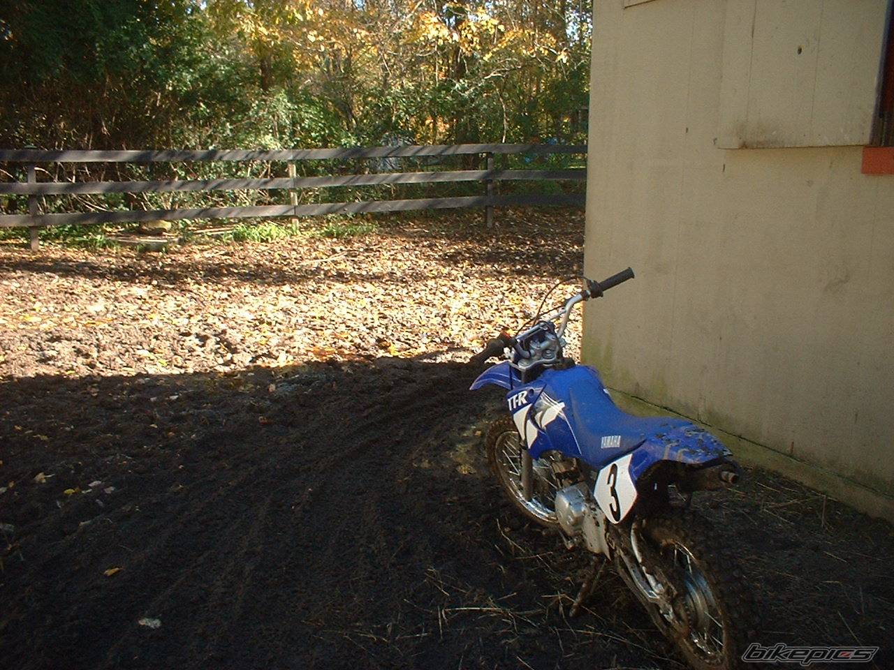 2001 YAMAHA TTR 90 | Picture 468802 motorcycle photo