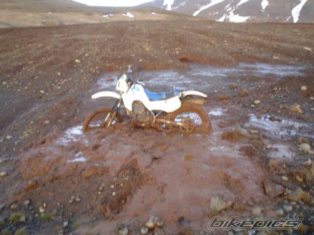1990 SUZUKI TS 50 | Picture 469176 motorcycle photo