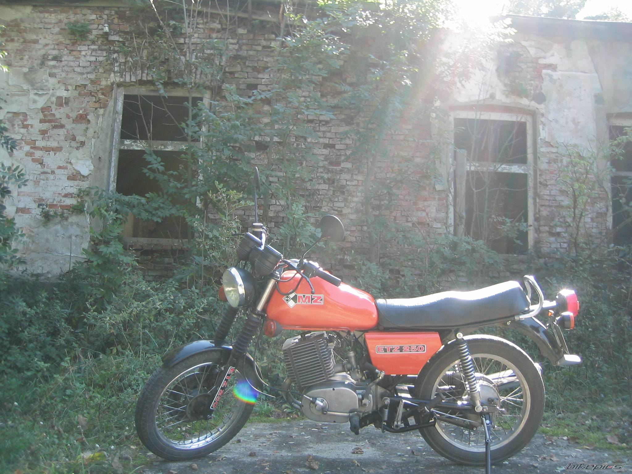 1984 MZ ETZ 250 | Picture 469259 motorcycle photo
