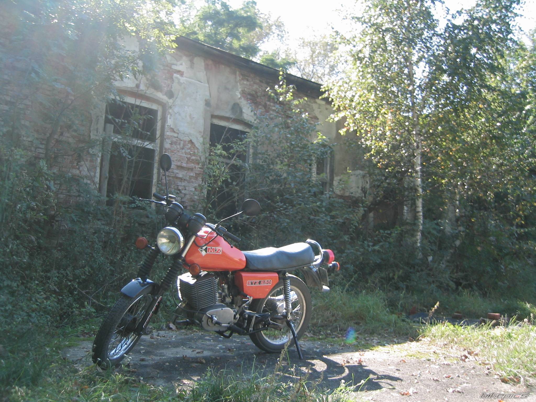 1984 MZ ETZ 250 | Picture 469263 motorcycle photo
