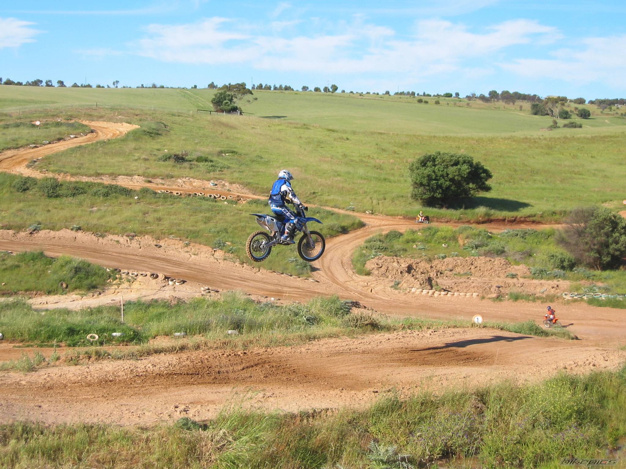 2002 YAMAHA YZ 250F | Picture 469307 motorcycle photo