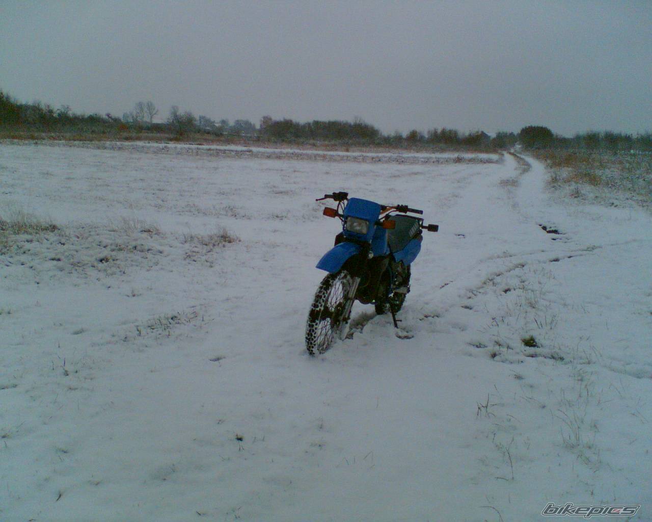 469407 | Picture 469407 motorcycle photo
