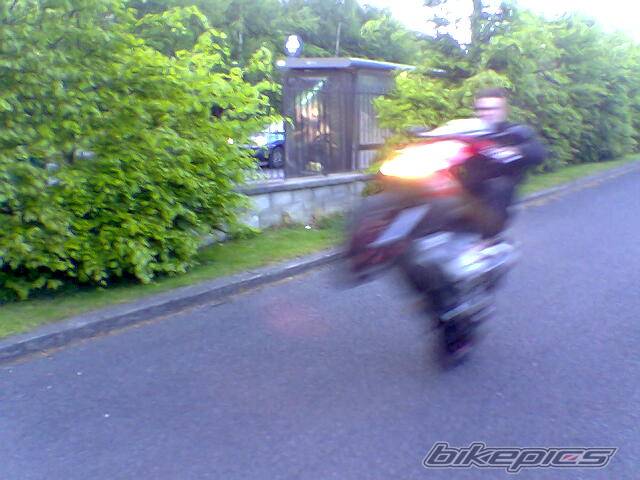 2006 GILERA RUNNER 125 SP | Picture 469756 motorcycle photo