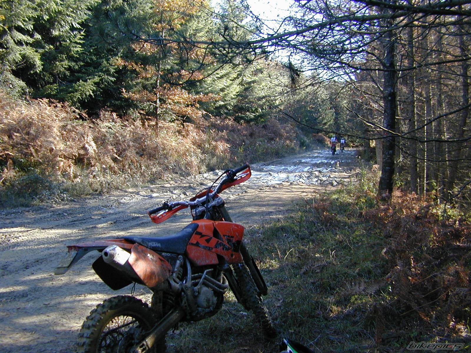 2003 KTM 450 EXC | Picture 470436 motorcycle photo