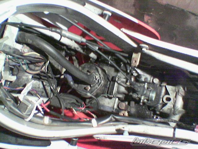 1992 APRILIA AF1 REPLICA 50 | Picture 470517 motorcycle photo