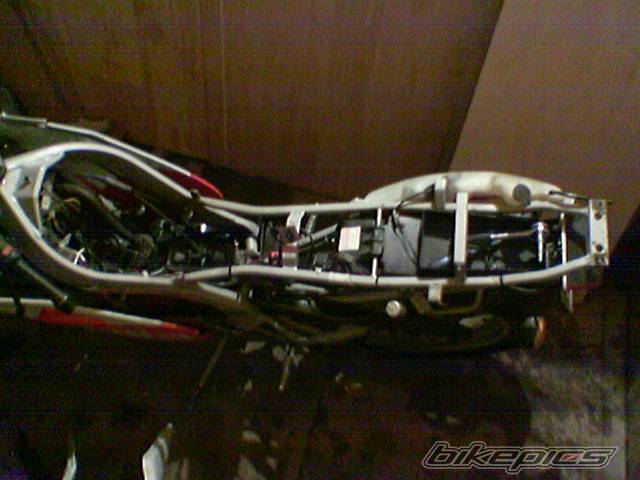 1992 APRILIA AF1 REPLICA 50 | Picture 470521 motorcycle photo