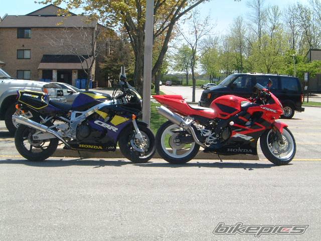 1994 HONDA CBR 900 | Picture 47088 motorcycle photo