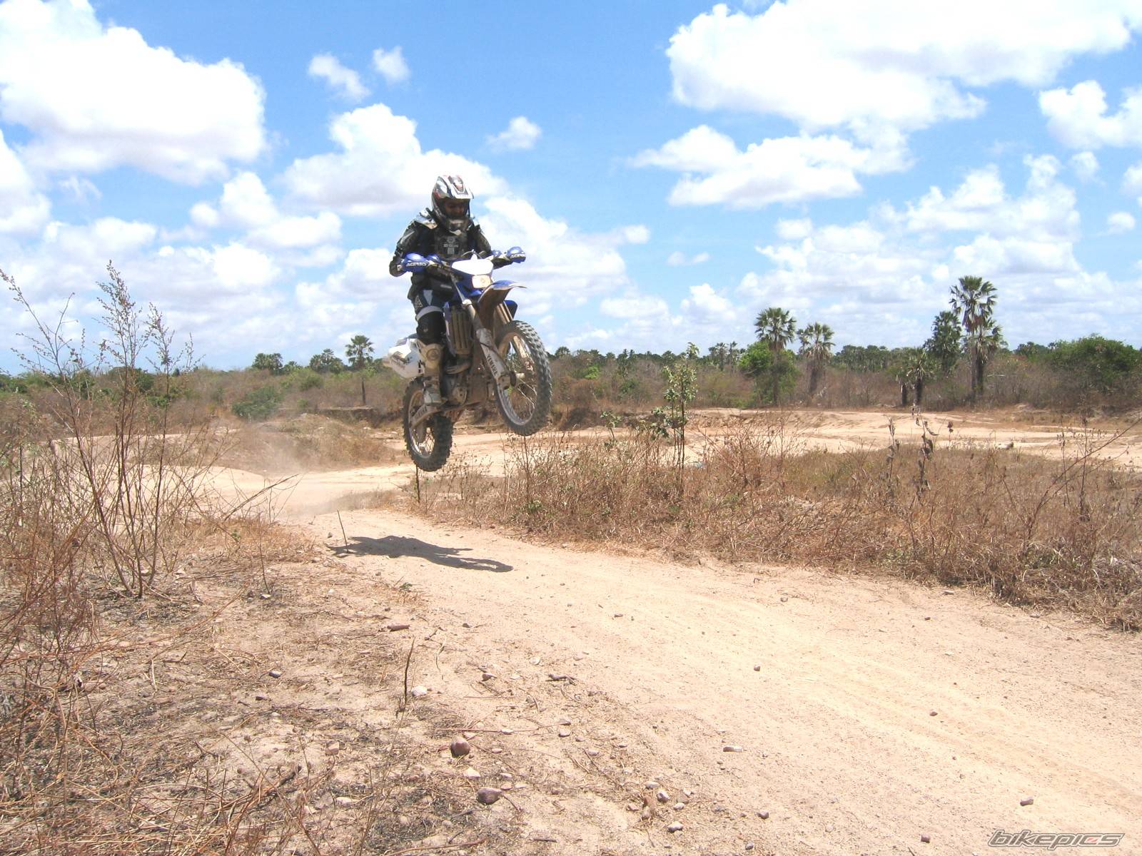 2003 YAMAHA WR 250F | Picture 470897 motorcycle photo