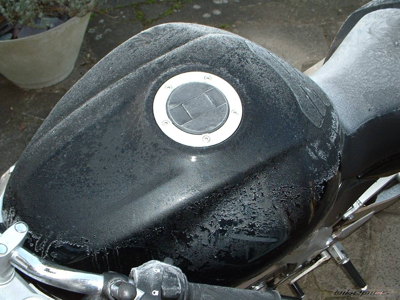 2004 SUZUKI SV 650 | Picture 470984 motorcycle photo