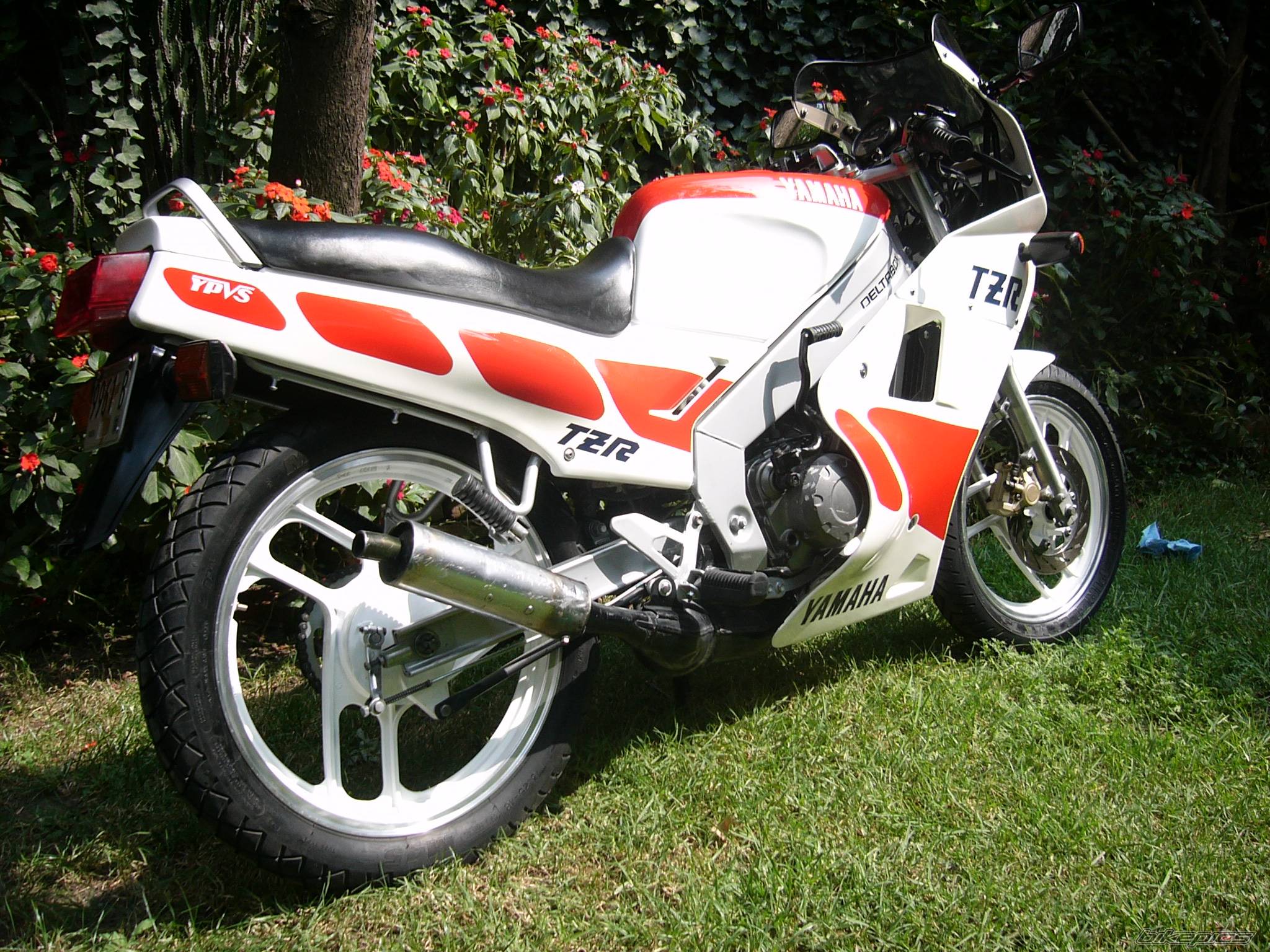 1987 YAMAHA TZR 125 | Picture 471115 motorcycle photo