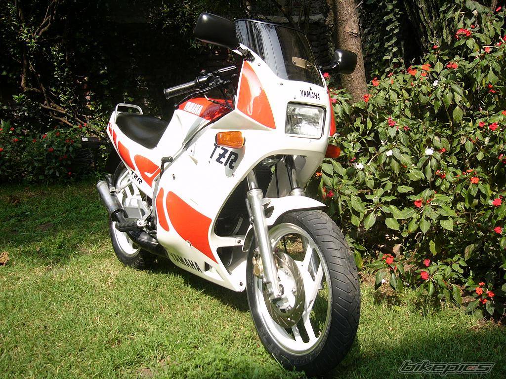 1987 YAMAHA TZR 125 | Picture 471124 motorcycle photo