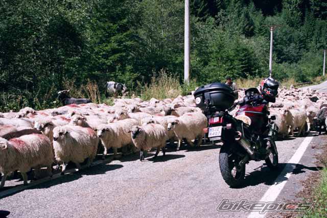 1994 YAMAHA XTZ 750 | Picture 471719 motorcycle photo