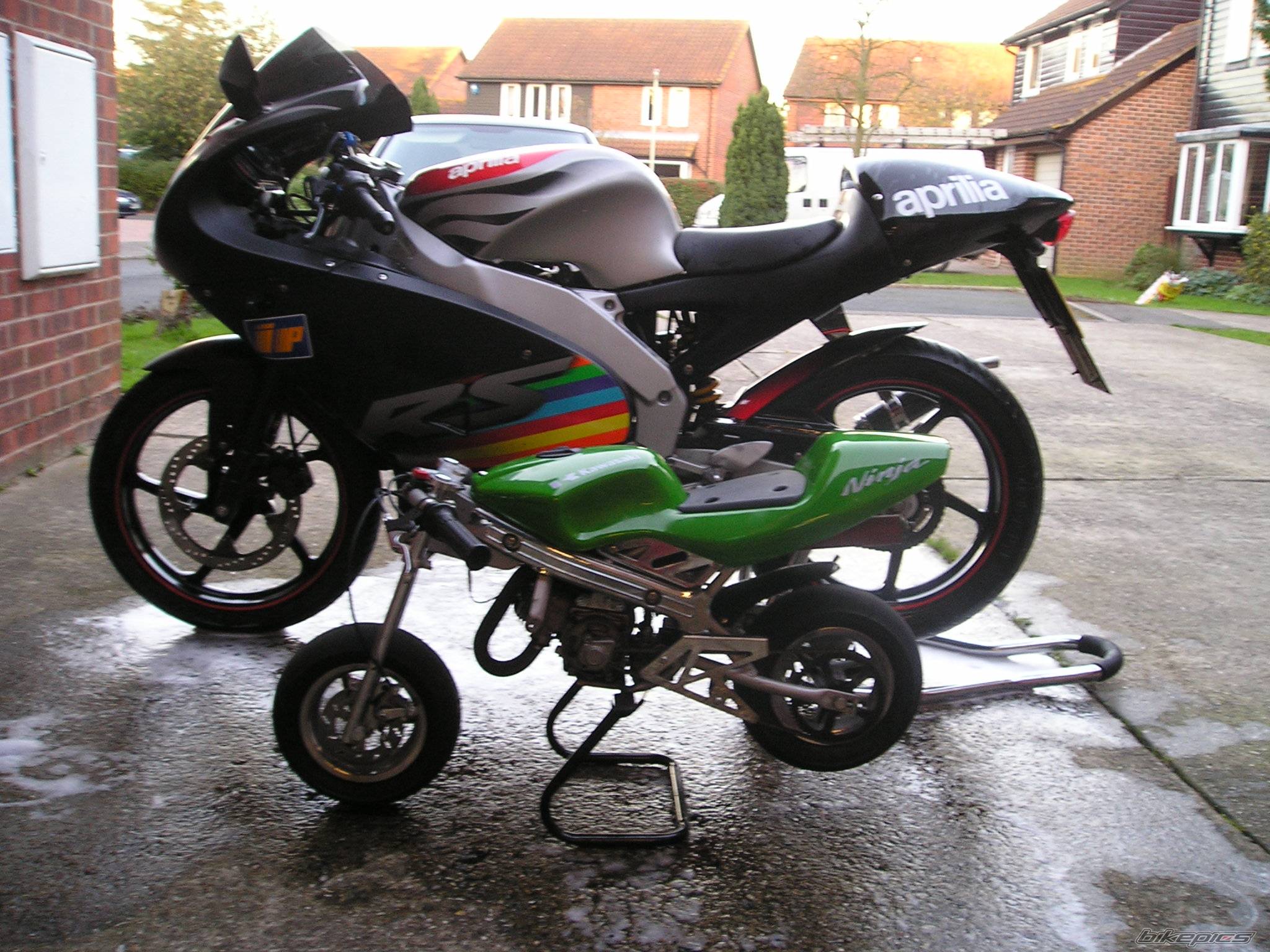 2003 APRILIA RS 50 | Picture 472019 motorcycle photo