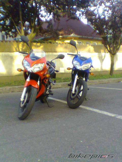 2005 HONDA CBR 125 | Picture 472059 motorcycle photo