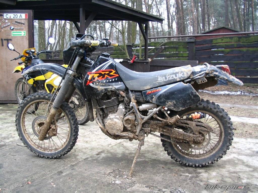 1999 SUZUKI DR 350 | Picture 472302 motorcycle photo
