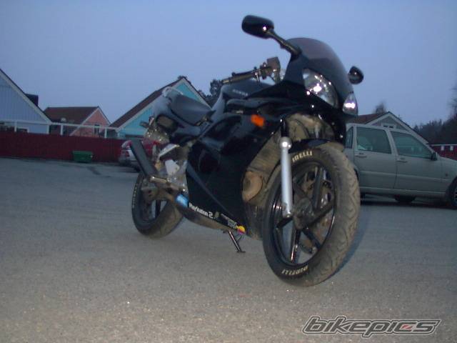 1999 HONDA NSR 125 | Picture 47252 motorcycle photo