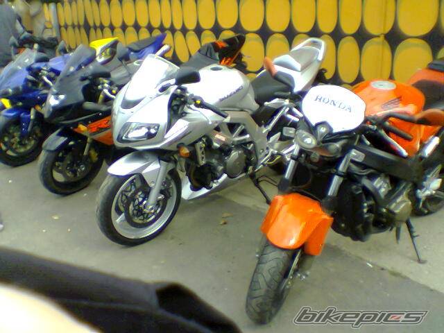 2003 SUZUKI SV 1000 S | Picture 472563 motorcycle photo