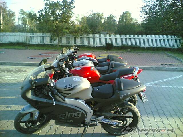 2005 YAMAHA TZR 50 | Picture 473354 motorcycle photo