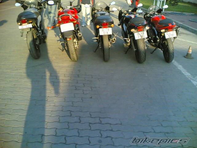 2005 YAMAHA TZR 50 | Picture 473356 motorcycle photo