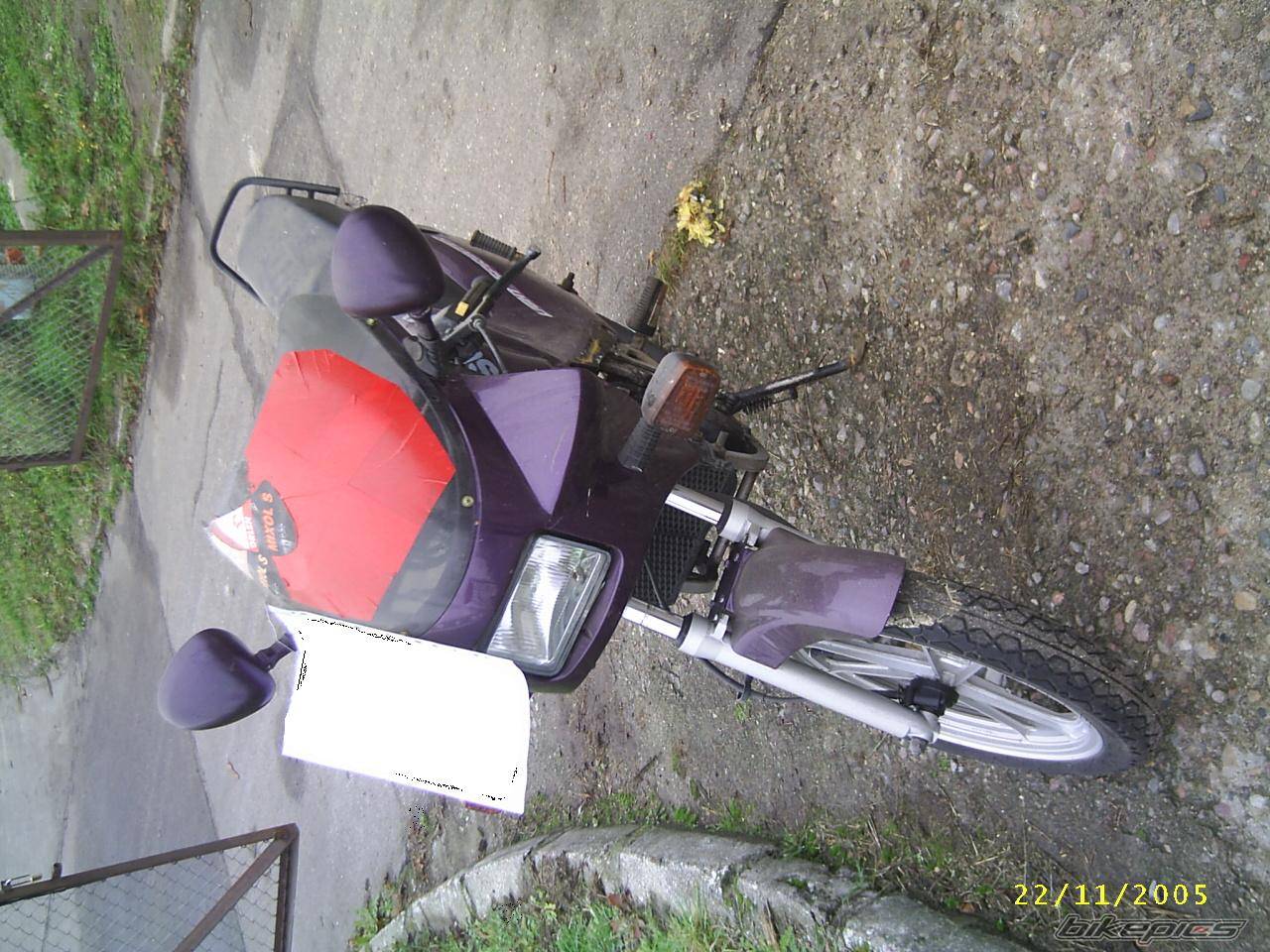 1994 SUZUKI RG 80 | Picture 473542 motorcycle photo