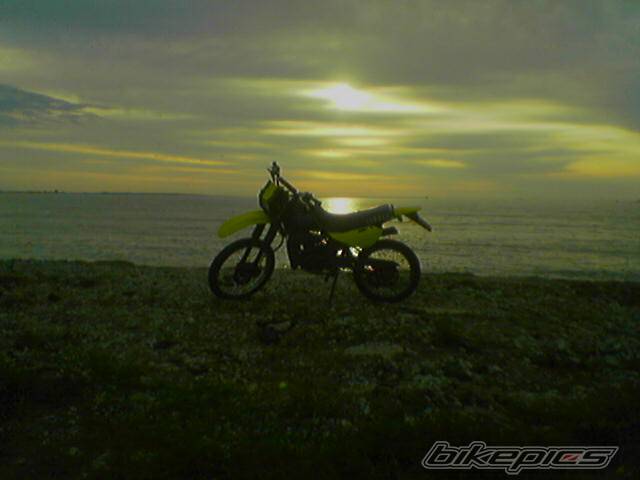1990 YAMAHA DT 50 | Picture 473635 motorcycle photo