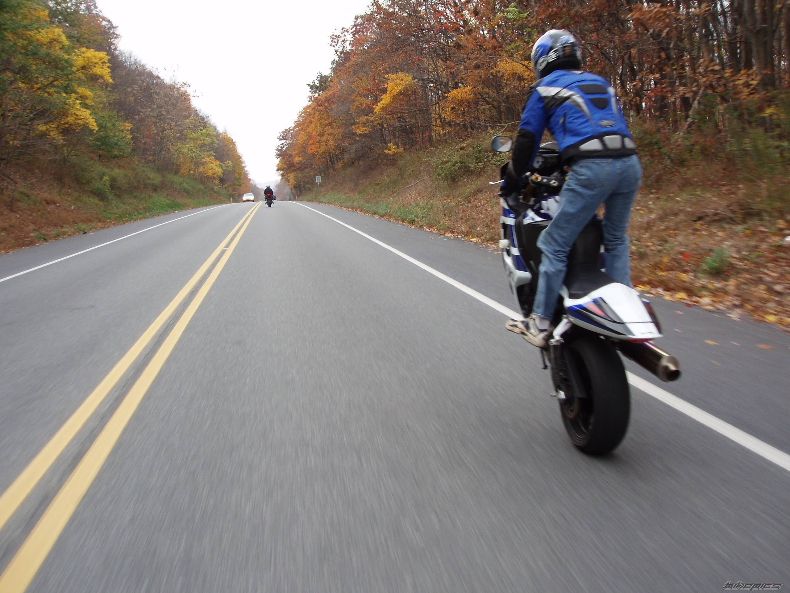 2005 YAMAHA YZF R1 | Picture 474564 motorcycle photo