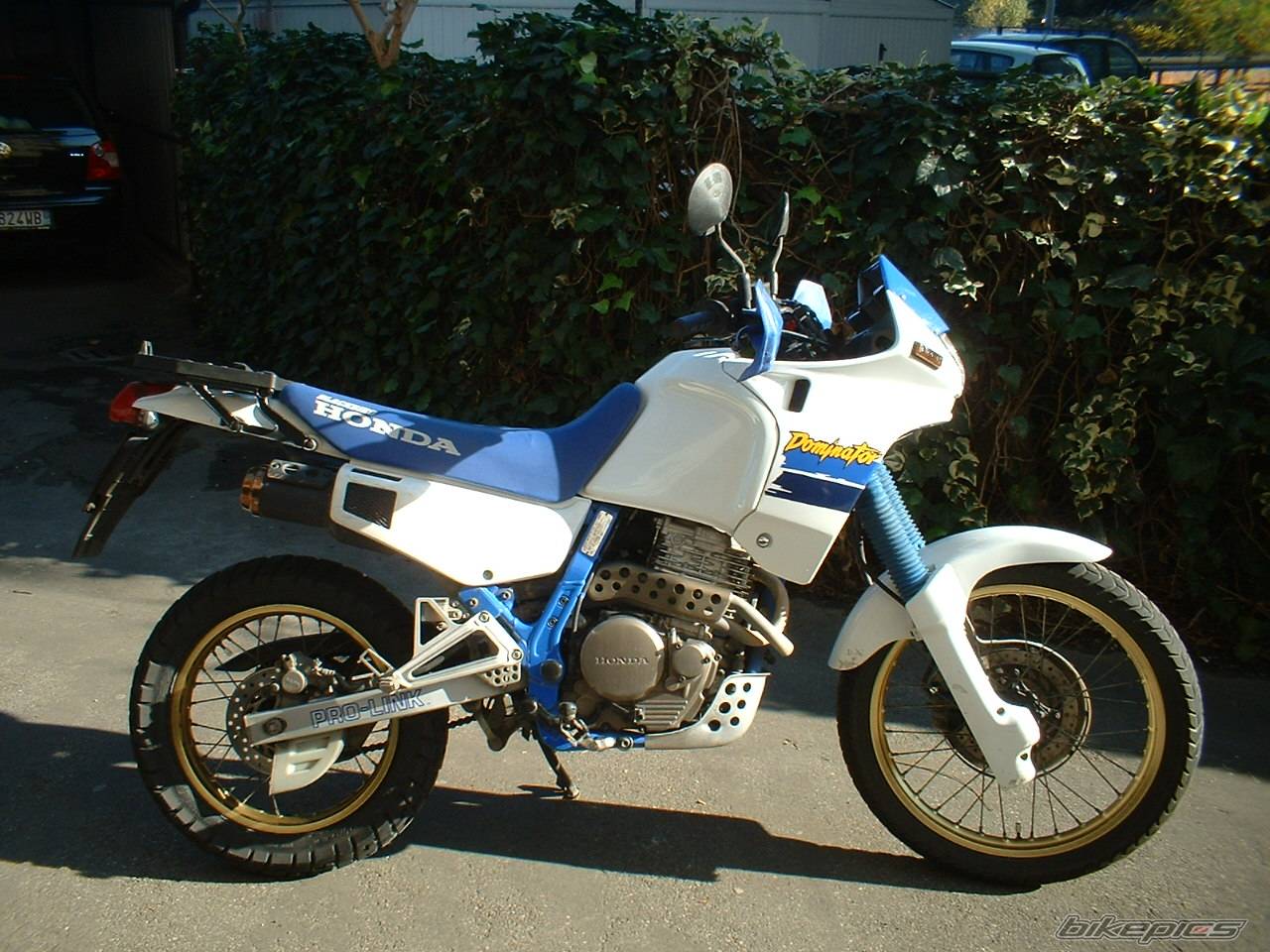 1991 HONDA NX 650 DOMINATOR | Picture 474677 motorcycle photo