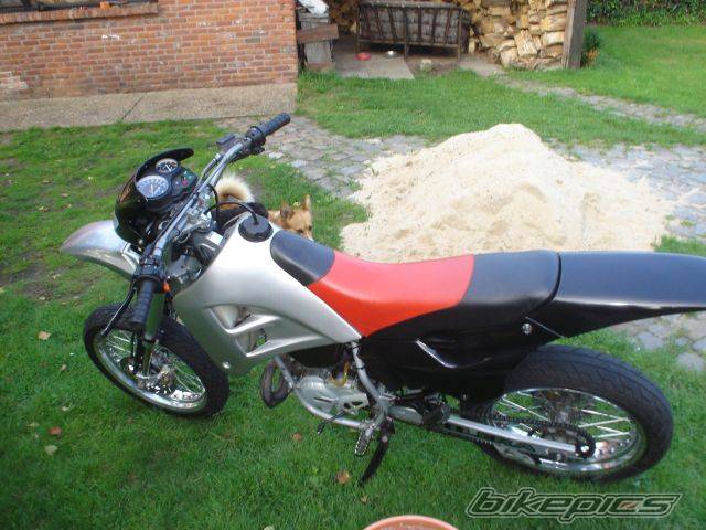 2000 GILERA GSM 50 | Picture 474679 motorcycle photo