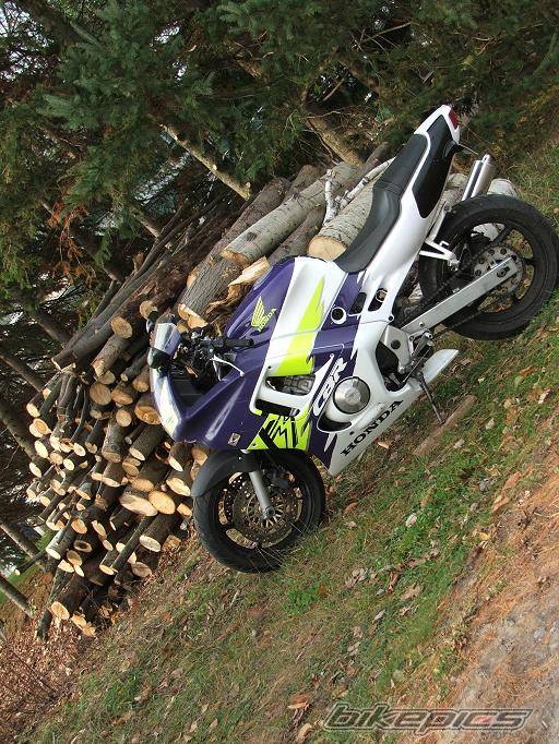 1995 HONDA CBR 600 | Picture 475057 motorcycle photo