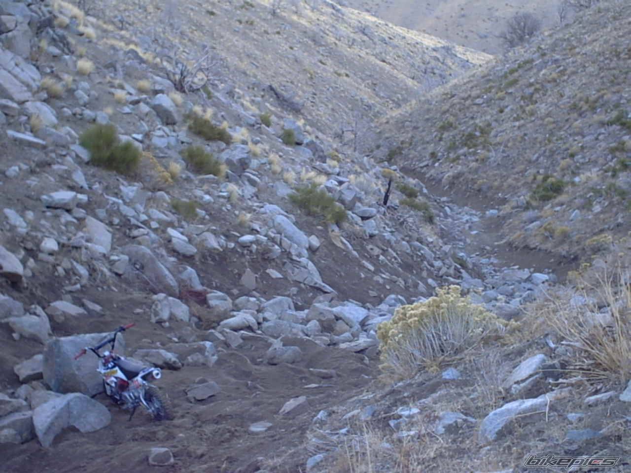 2005 HONDA CRF 50 | Picture 475551 motorcycle photo