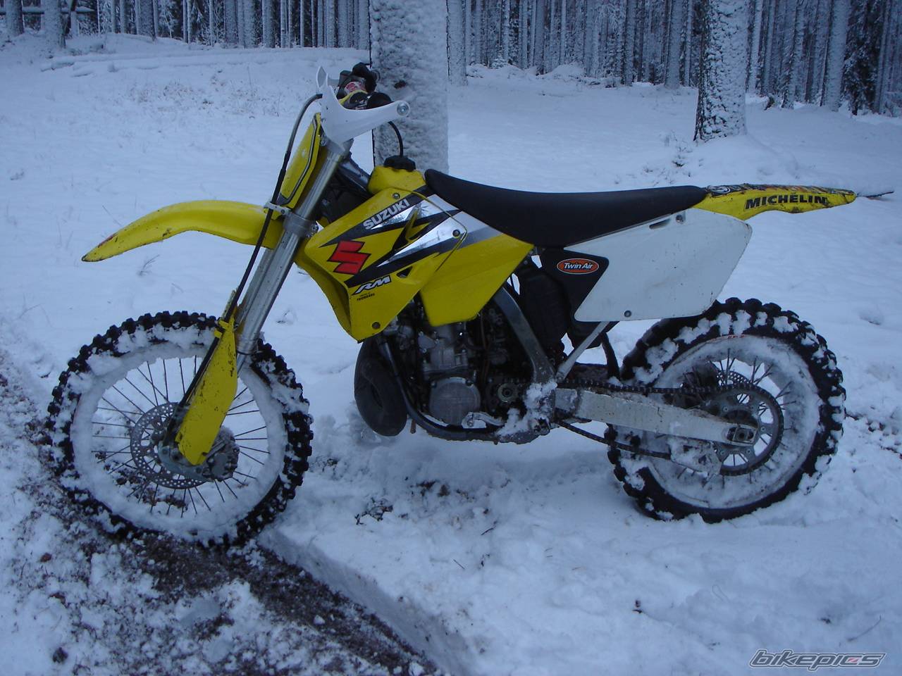 2003 SUZUKI RM 250 | Picture 475591 motorcycle photo